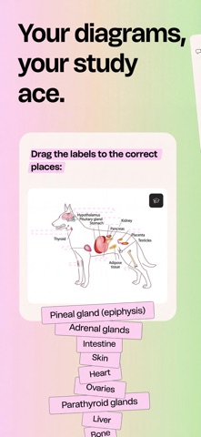 Synapse - Education Screenshot 7 of 8