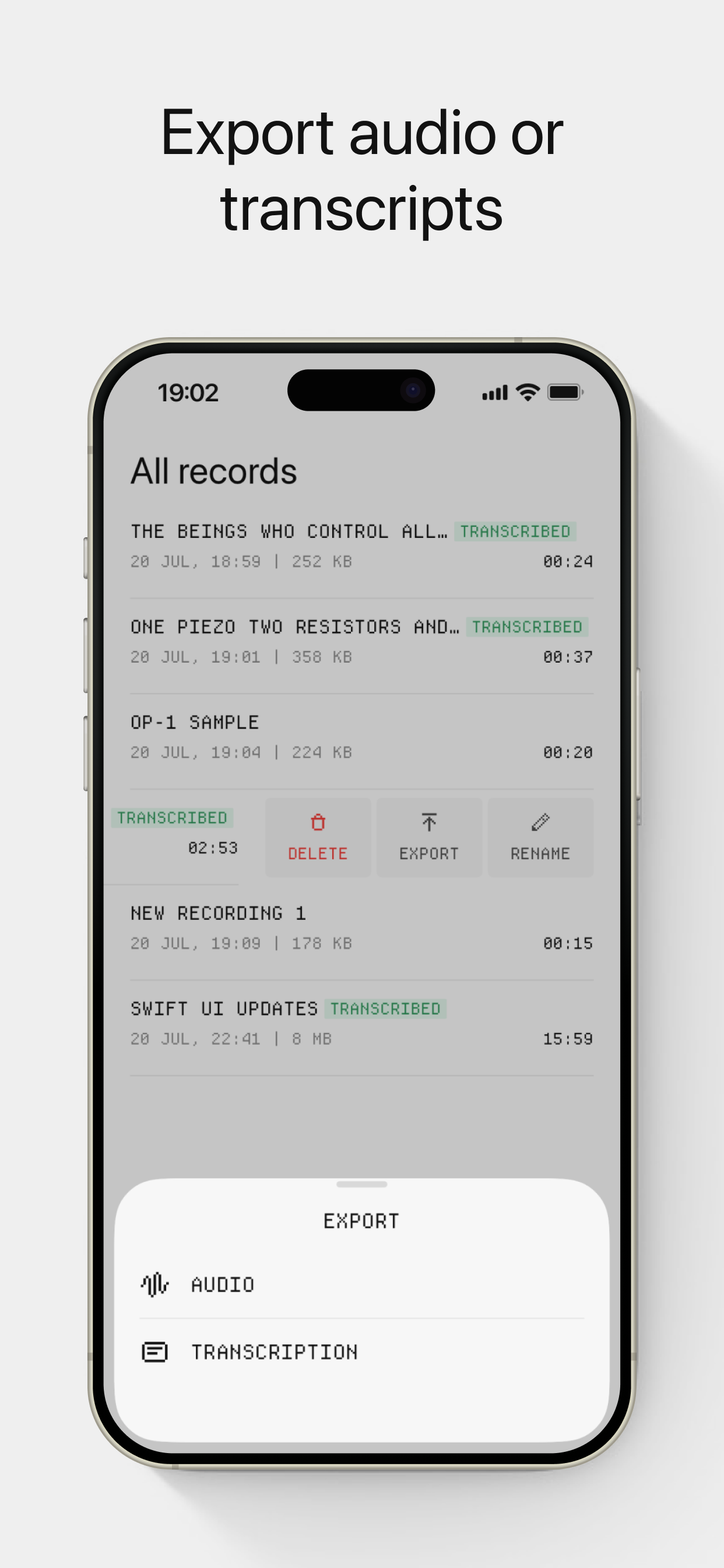 Dictantor screenshot 4