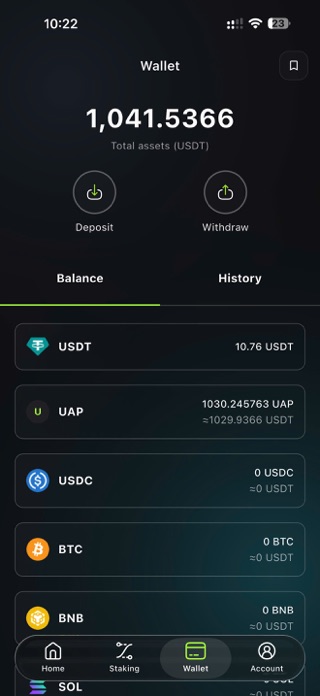 UAP VPN Screenshot 5 of 7