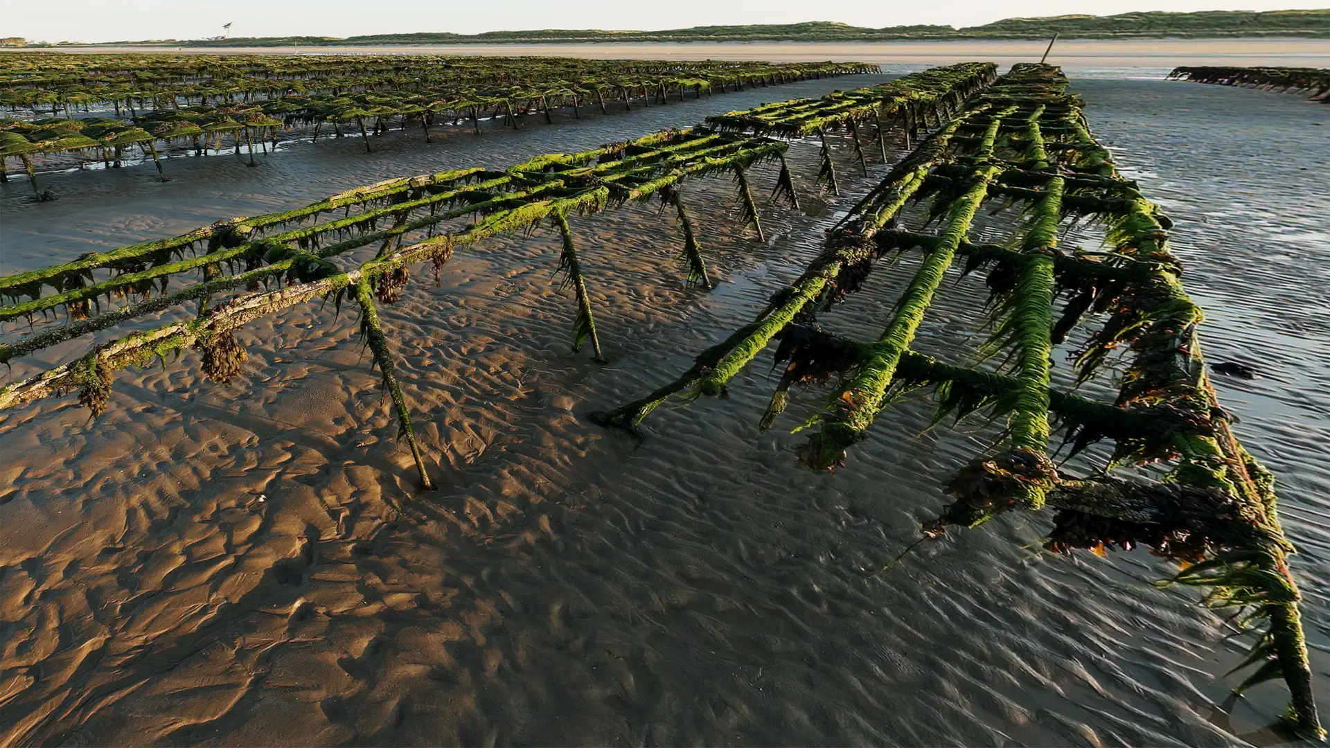 XploreVR screenshot 7