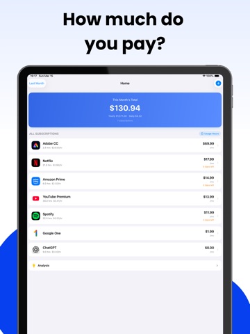 Subscription Tracker:Cost/Hour iPad screenshot