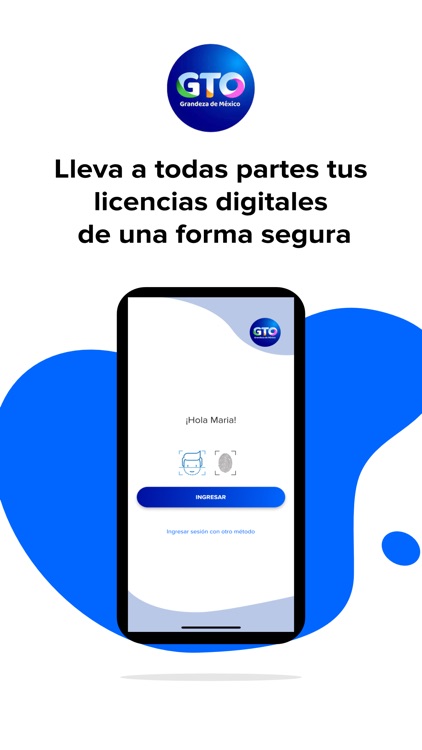 LICENCIA DIGITAL GTO