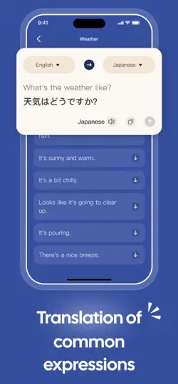Screenshot von Translate Bridge auf dem iPhone 2