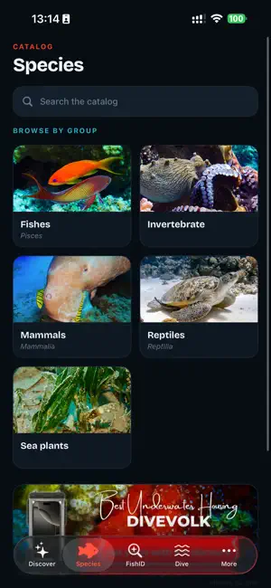 Red Sea Creatures screenshot 3