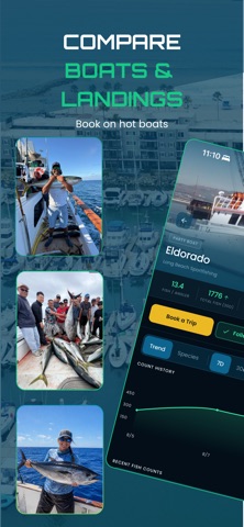 Fish City: Real Fish Counts Screenshot 2 of 5