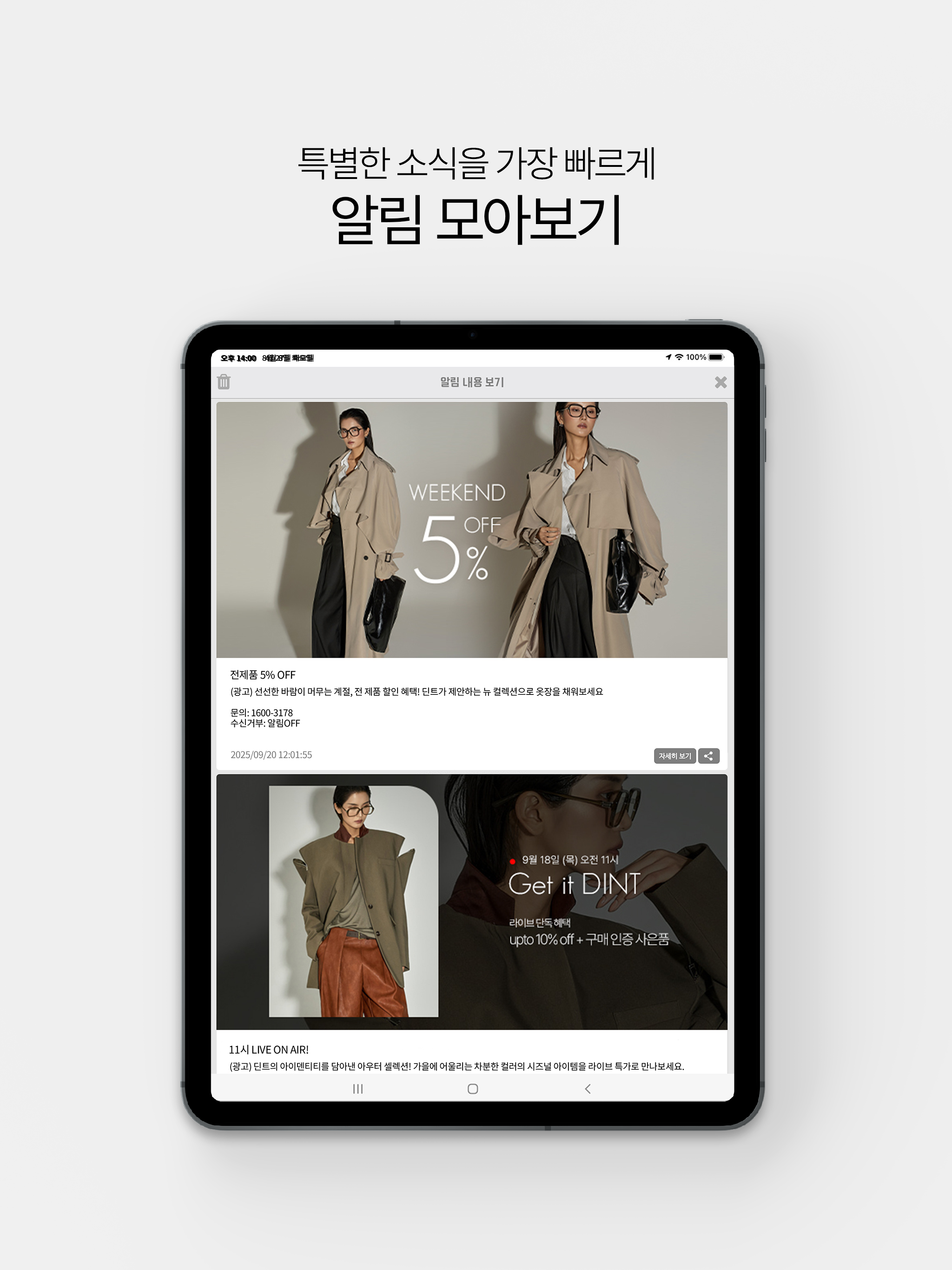 딘트 Dint