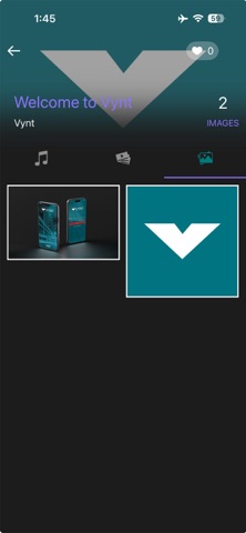 Vynt Solutions Screenshot 2 of 3