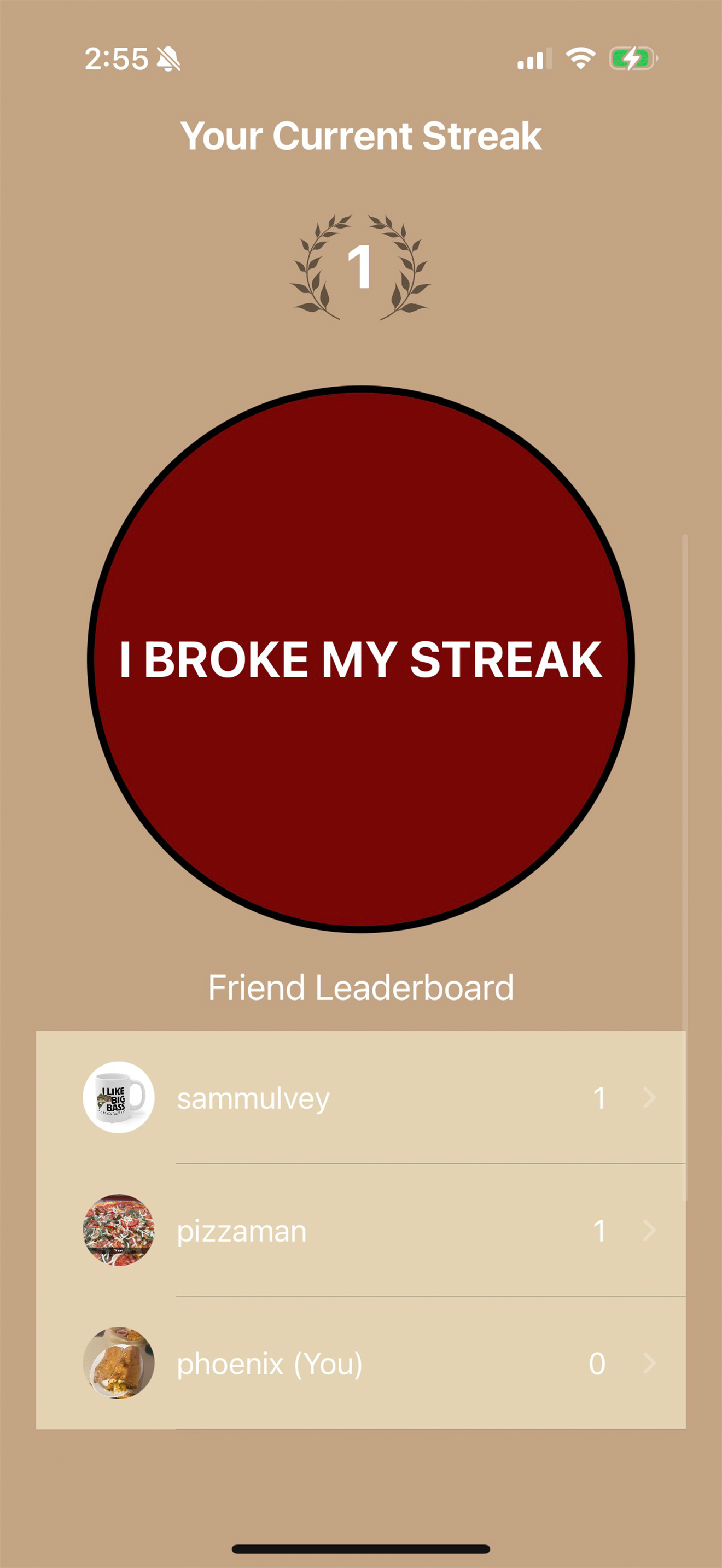 StreakerIO