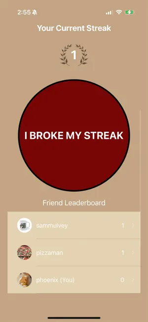 StreakerIO screenshot 3