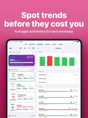 Budget Envelopes iPad screenshot