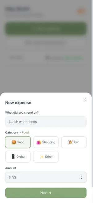 YSpent screenshot 4