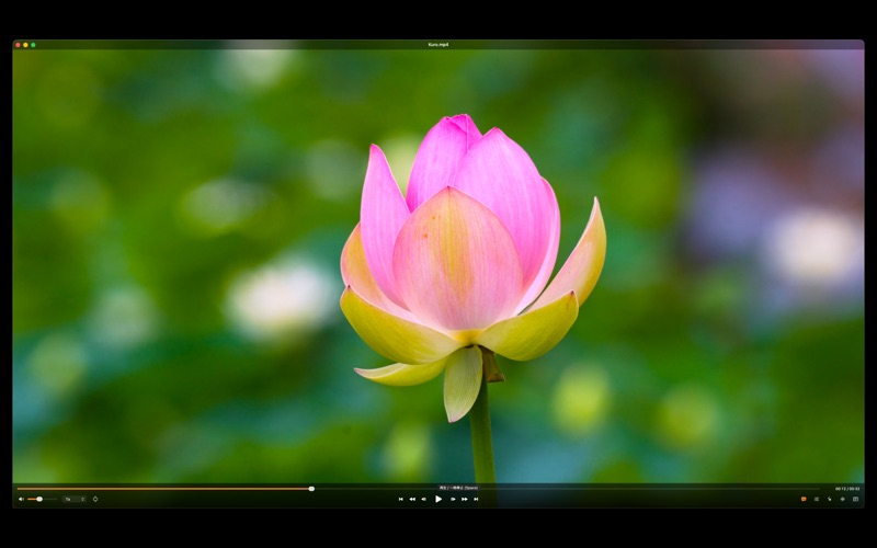 Kuro: Video Player & Color screenshot