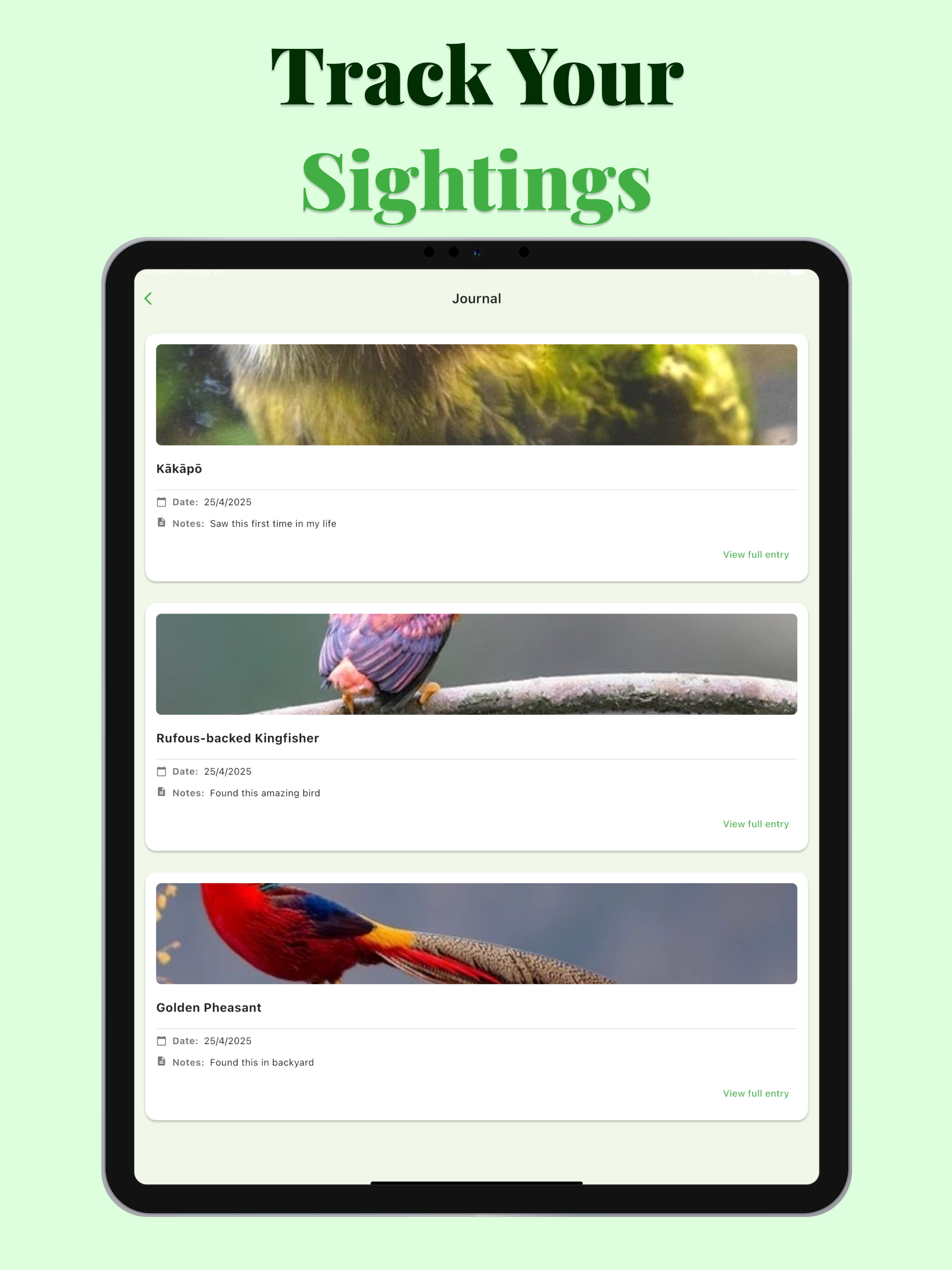 Bird Identifier - BirdSnap screenshot 8