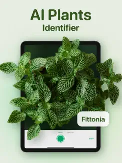 AI Plant Identifier - Plant ID iPad image 1