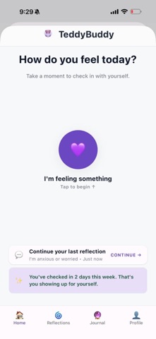 TeddyBuddy: AI Emotion Journal screenshot