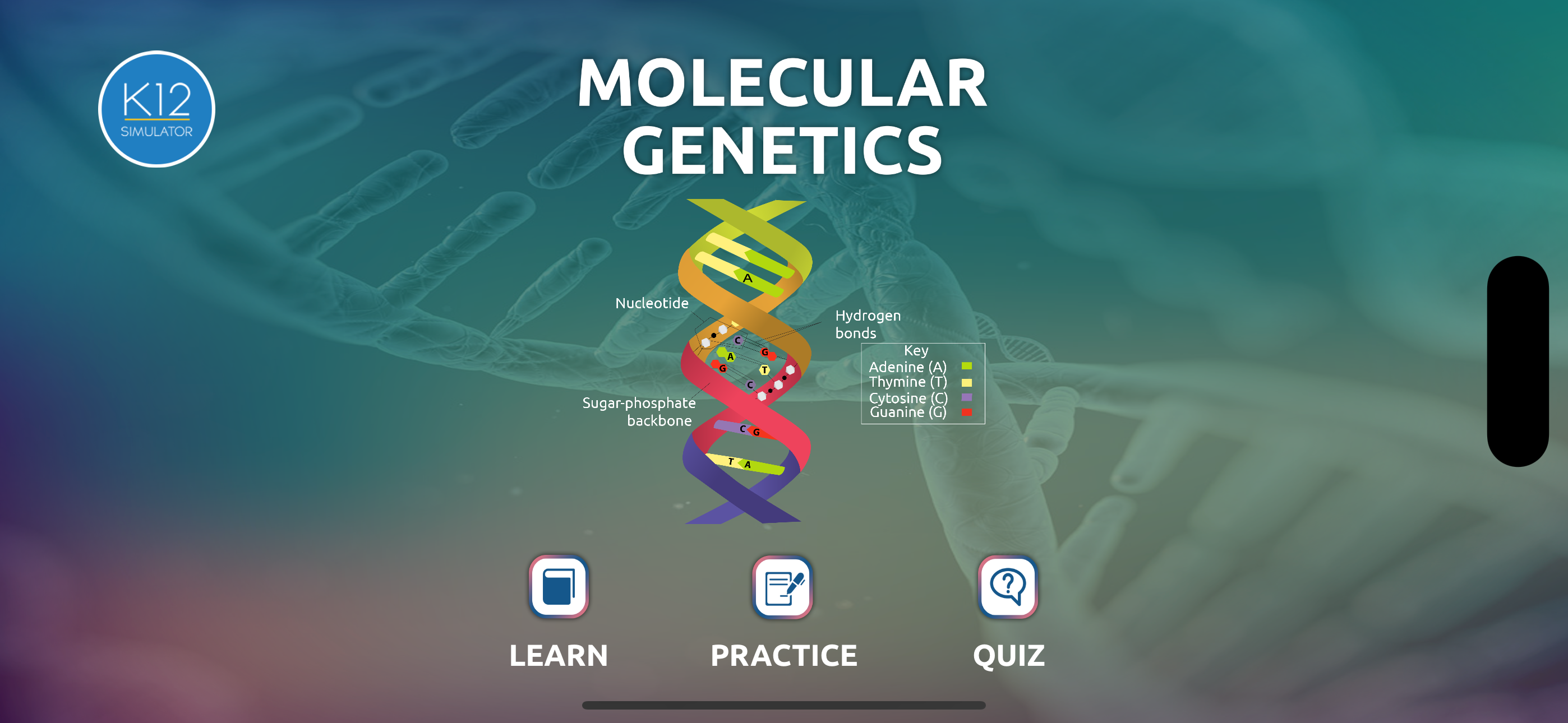 Genetics and Molecular Biology