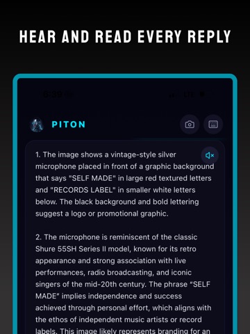 Piton AI iPad screenshot