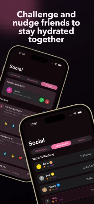 Hidrate screenshot 2