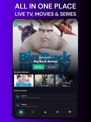 S2T IPTV: M3U & Live TV Player iPad screenshot