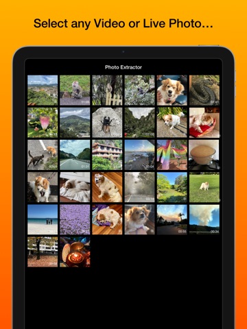 Photo Extractor iPad screenshot