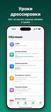 Скриншот Fluier