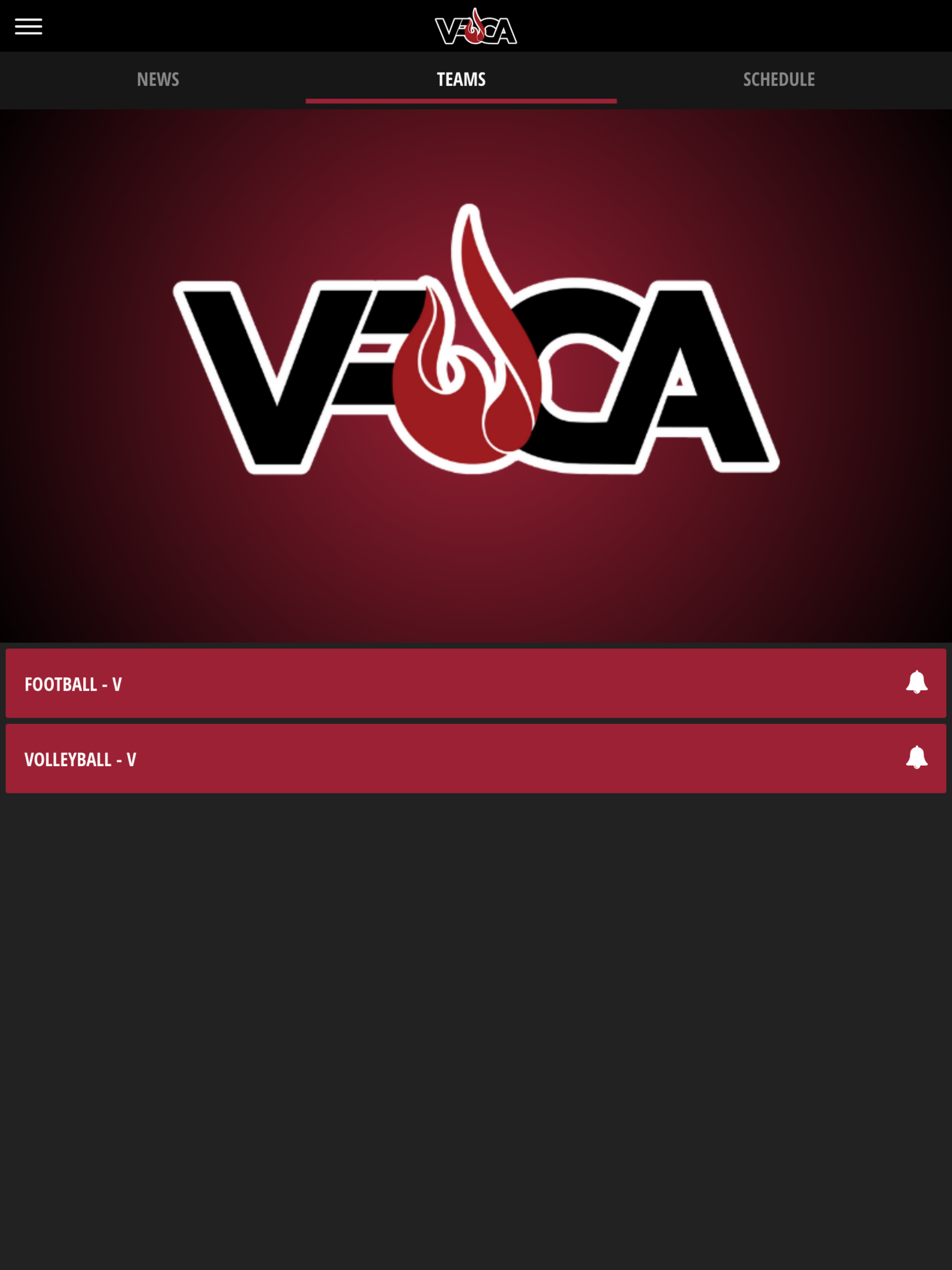 VFCA Fire screenshot 11