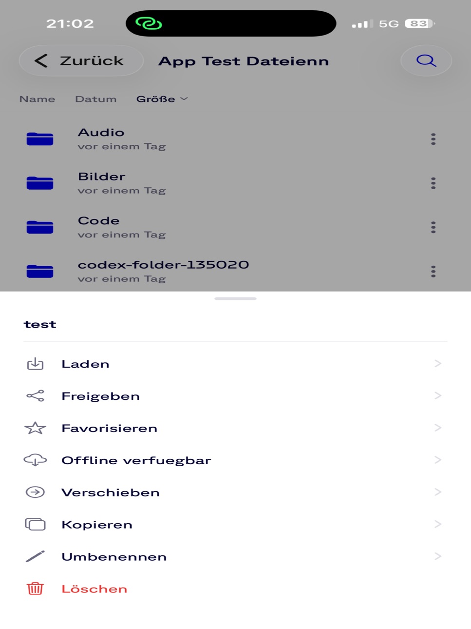 iPad screenshot