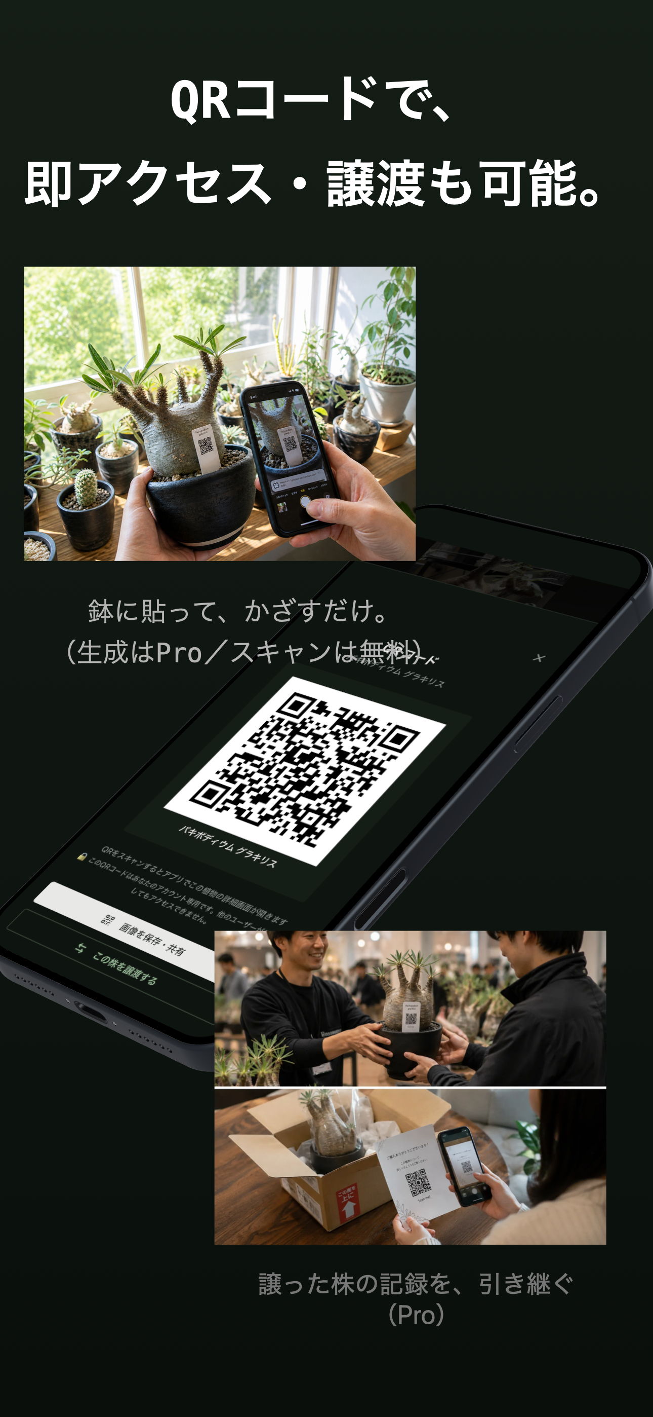 BotaCodex screenshot 7
