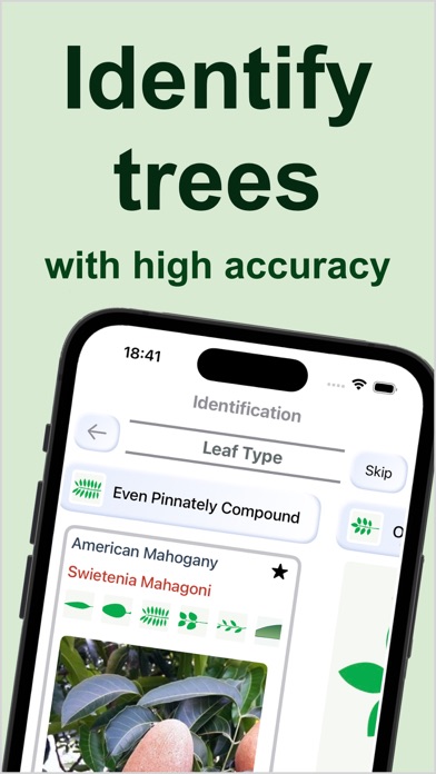 Forest Tree Identification