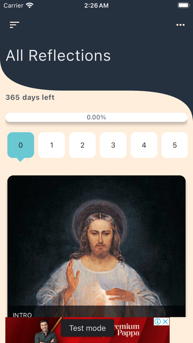 Divine Mercy Reflections Screenshot