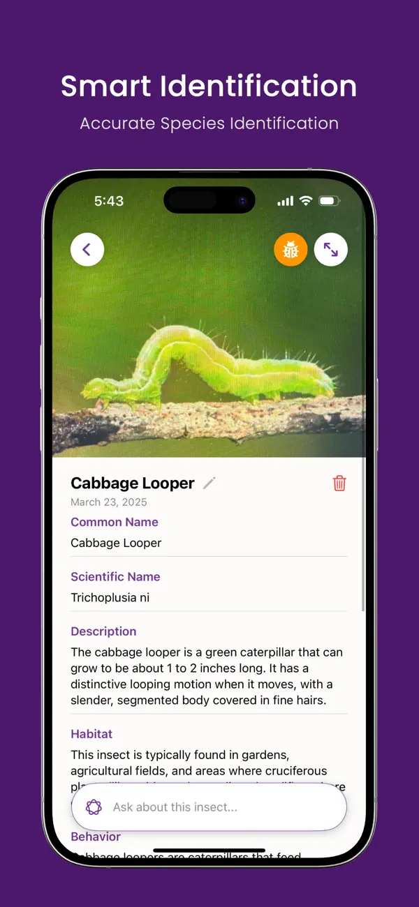 Screenshot #2 pour Bug Identifier AI: Insect ID