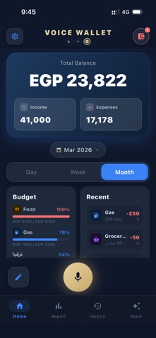 Voice Wallet smart screenshot