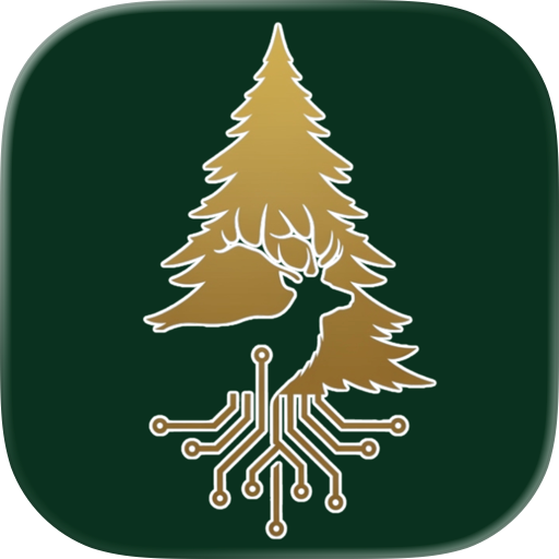 Dryads – Go Play Outdoors