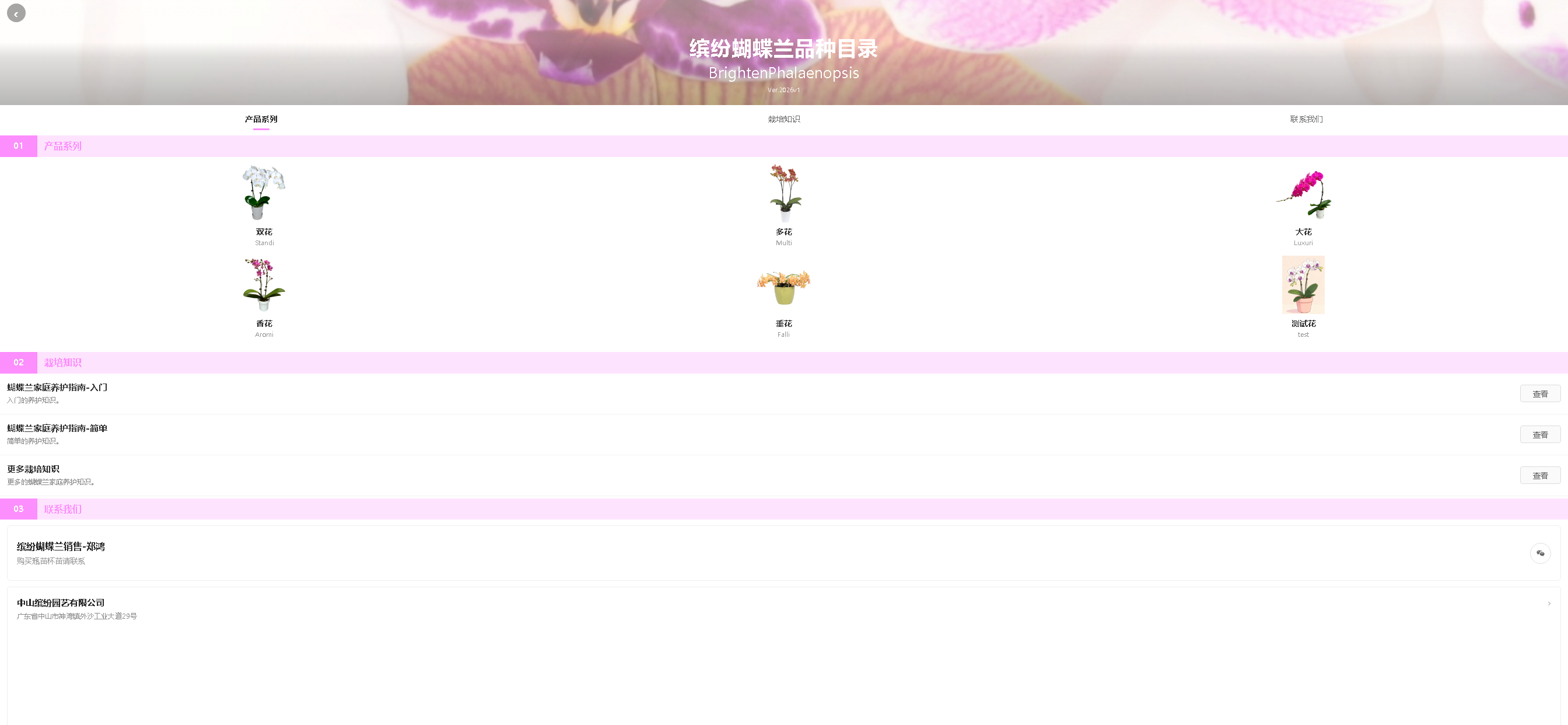 缤纷种联 screenshot 4