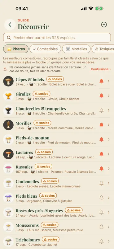 Mes Coins Champi screenshot 7 of 9