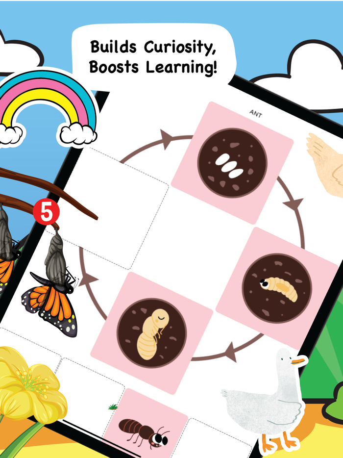 Learn life cycle for toddler