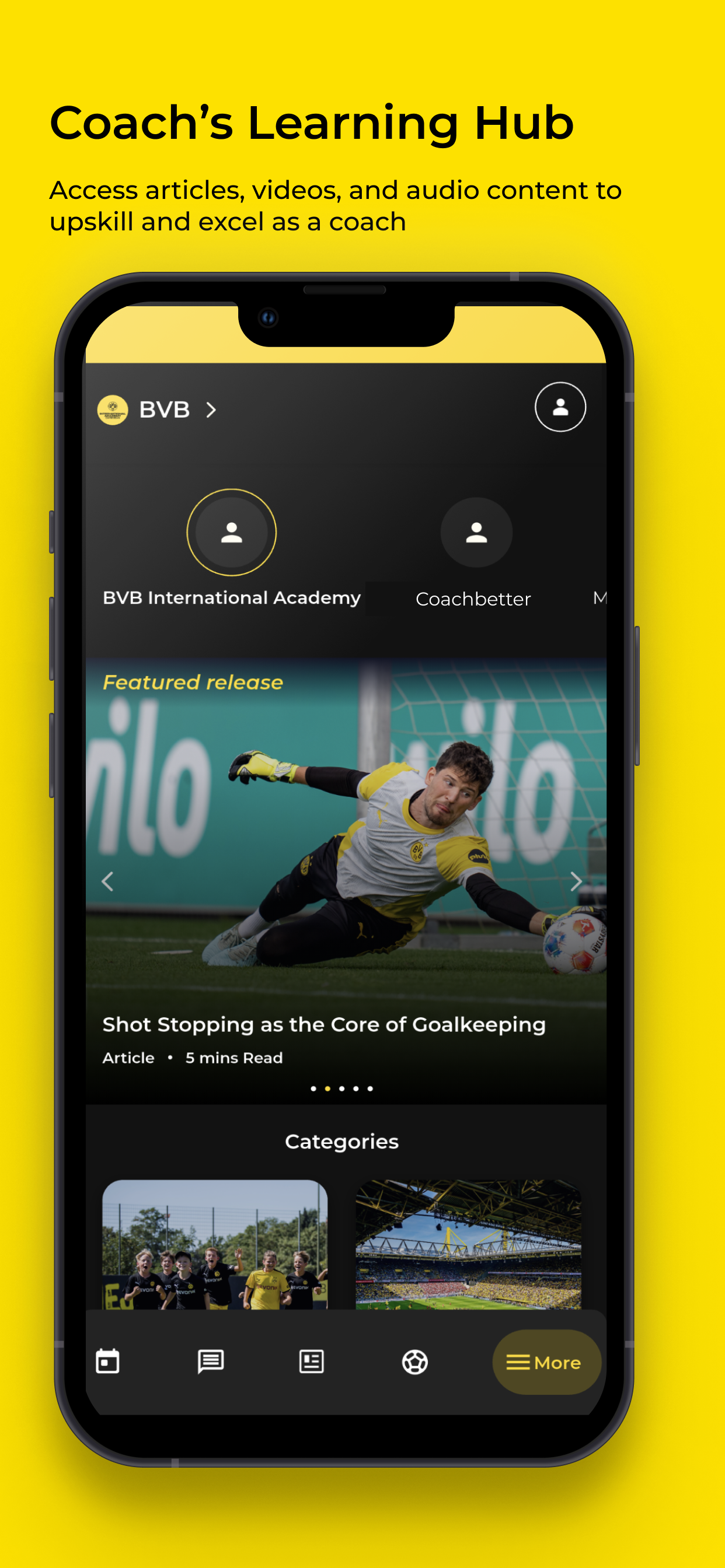 BVB eAcademy