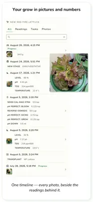 Midana 3