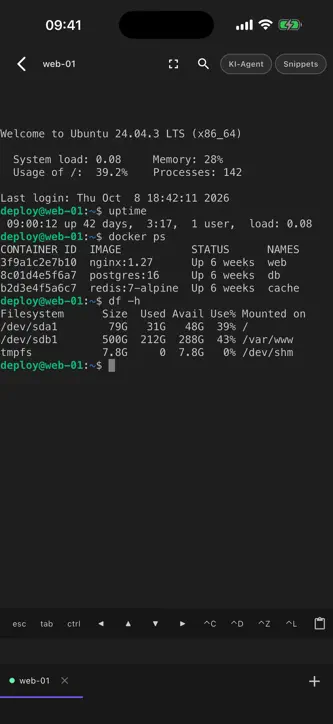 abalso AI ssh – SSH Client screenshot 2