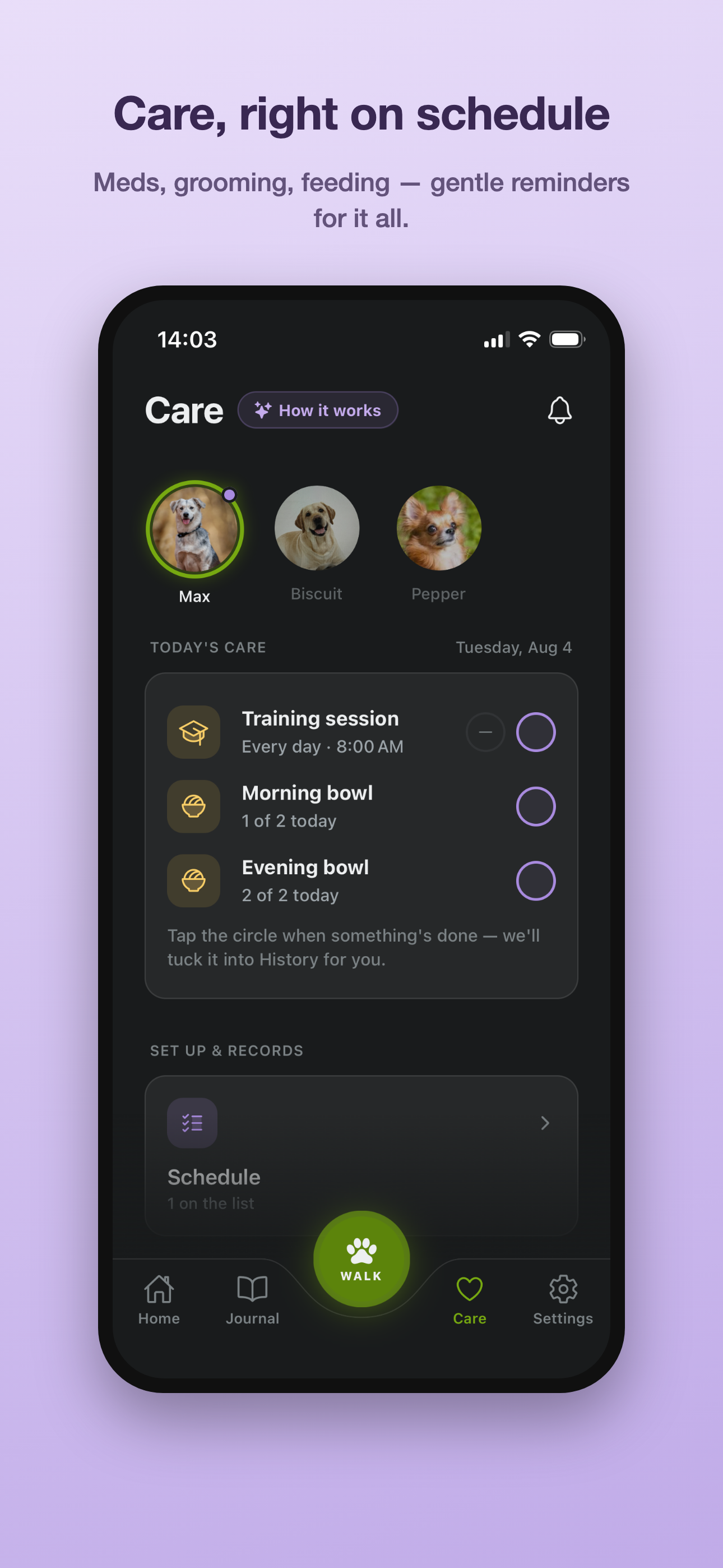 TrackMyPaw: Dog Walks & Care screenshot 2