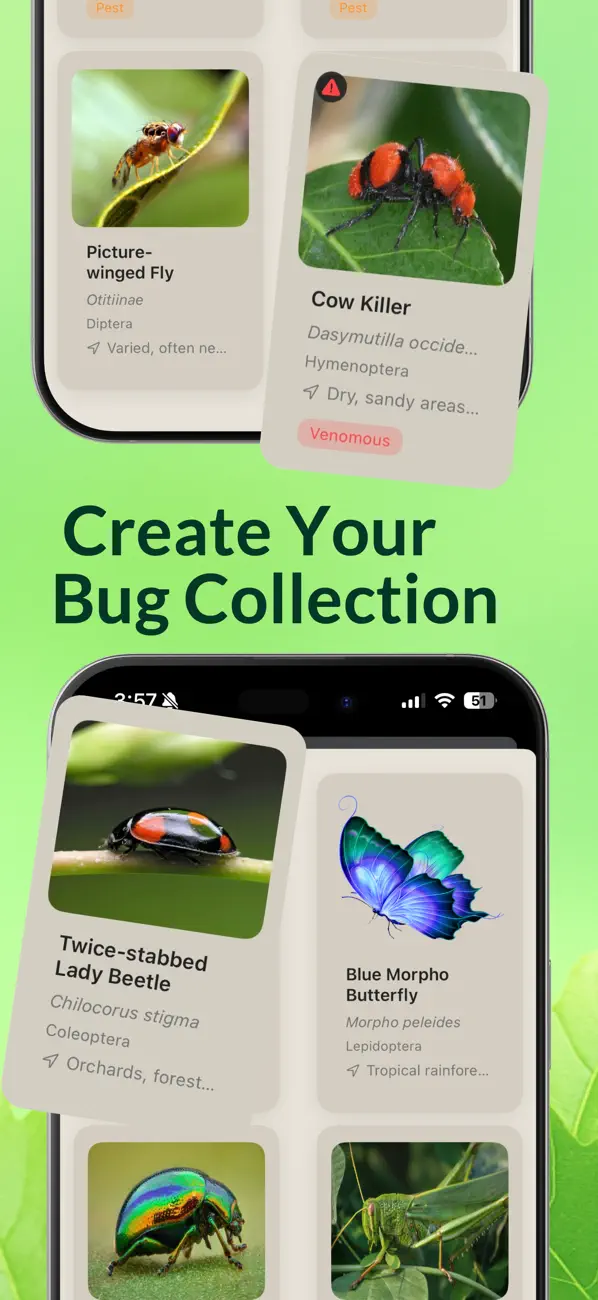 #4. Bug Scanner (iOS) Podle: Husein Hakim