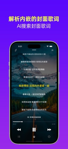 维克音乐专业版 - 本地音乐播放器 screenshot