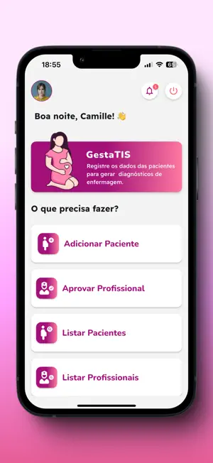 Gesta-TIS screenshot 1