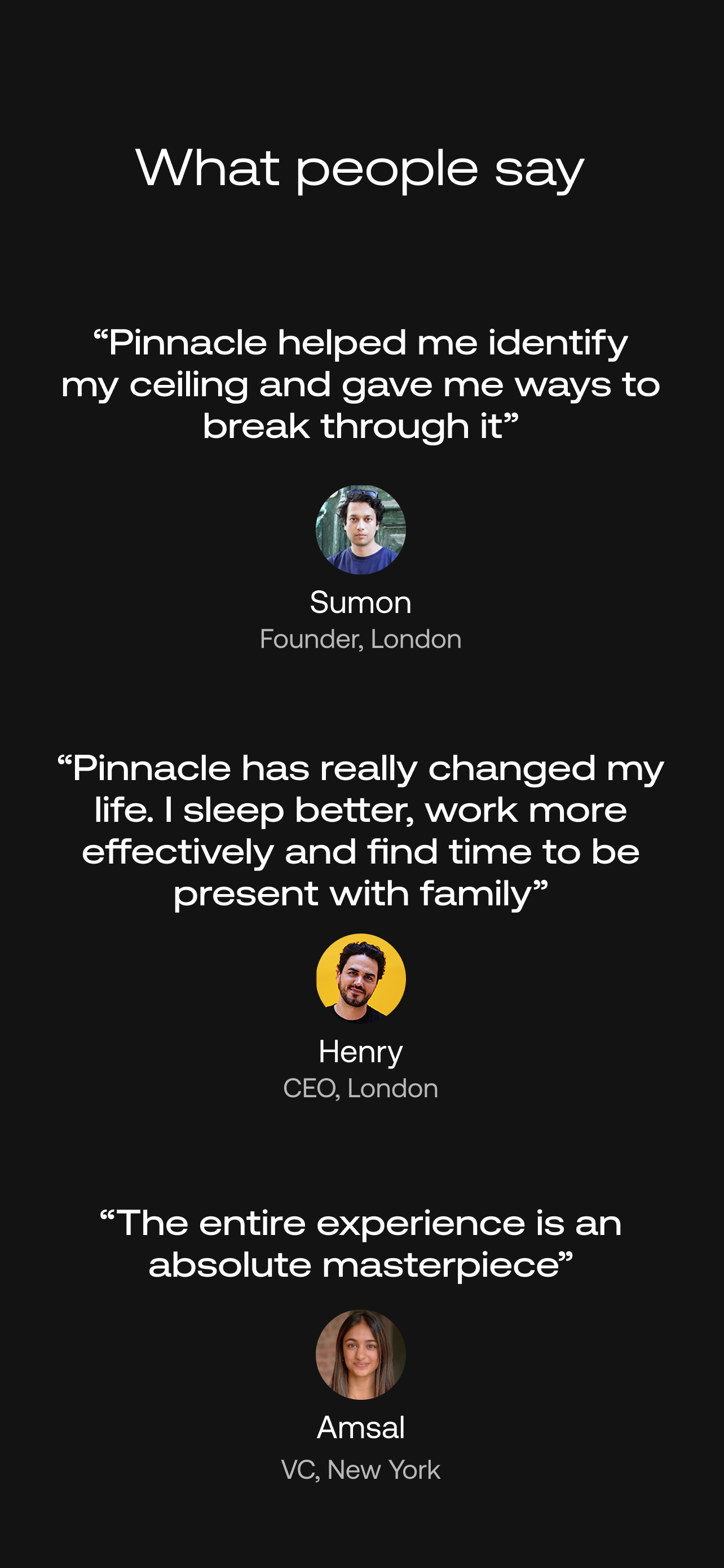 Pinnacle Black screenshot 10