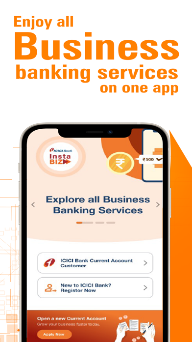 InstaBIZ: Business Banking App Screenshot
