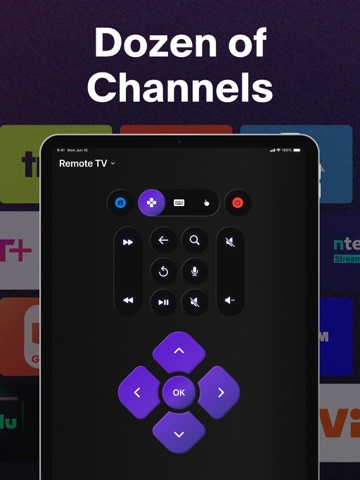 Universal Remote Control - TV iPad screenshot