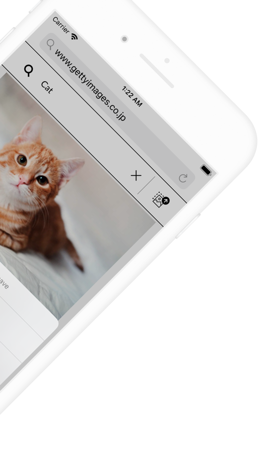 #2. Web Image Downloader - Picket (iOS) โดย: Tsubasa Takahashi