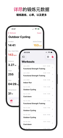 Health Auto Export - JSON+CSV screenshot