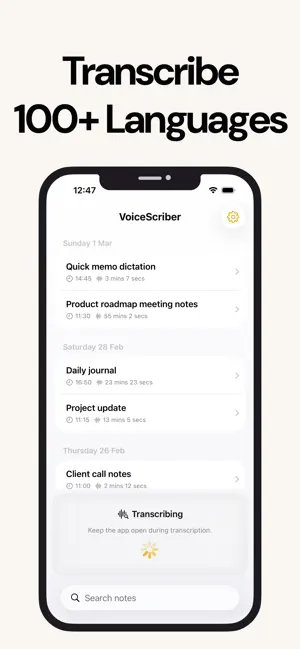 VoiceScriber AI: Offline Notes screenshot 3