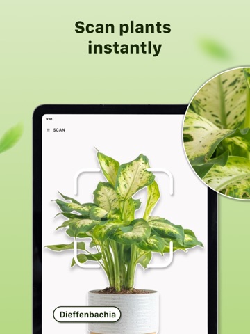 Plant Identifier: Leaf Doctor